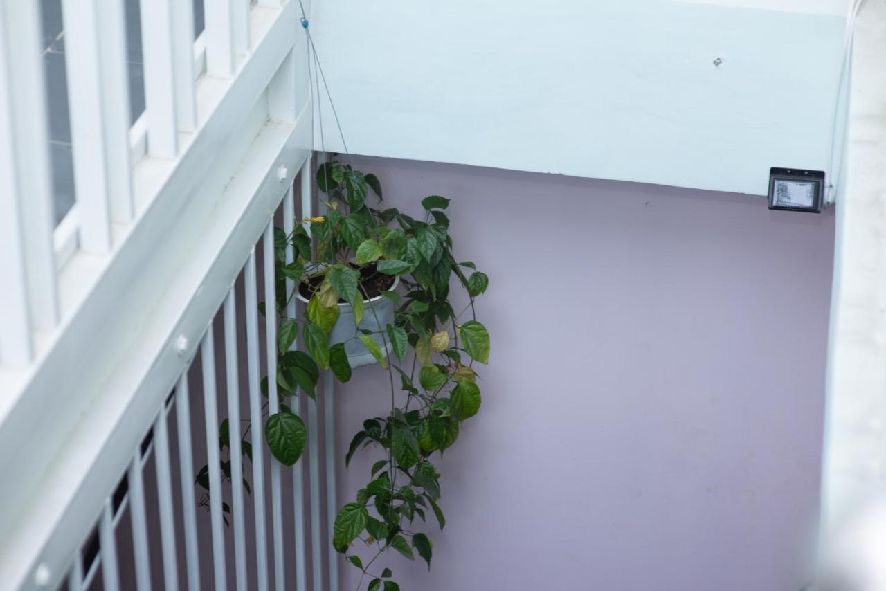 Megi Homestay Nha Trang Exterior foto